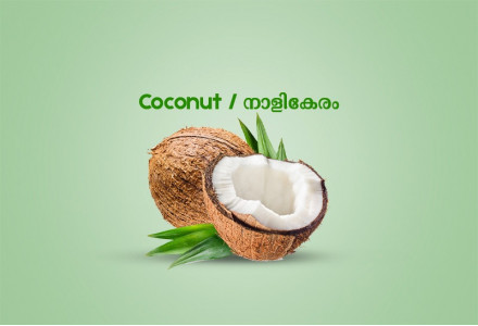 Coconut / നാളികേരം - 1.00 kg